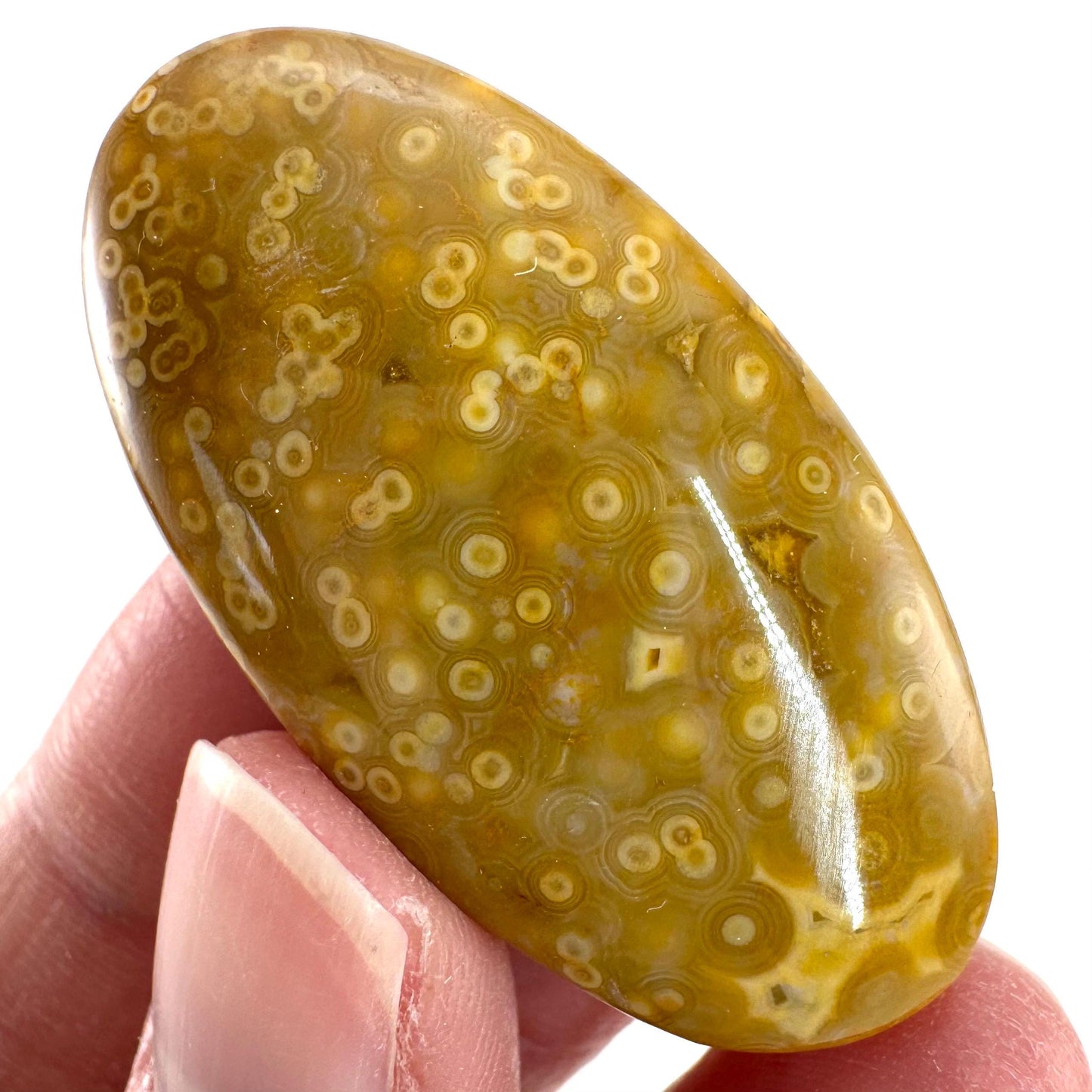 Orbicular Ocean Jasper Cabochon | Natural Gemstone