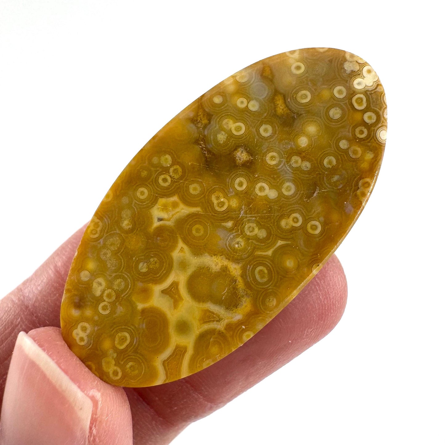 Orbicular Ocean Jasper Cabochon | Natural Gemstone