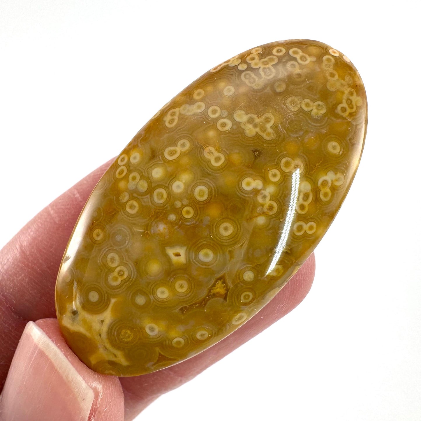 Orbicular Ocean Jasper Cabochon | Natural Gemstone