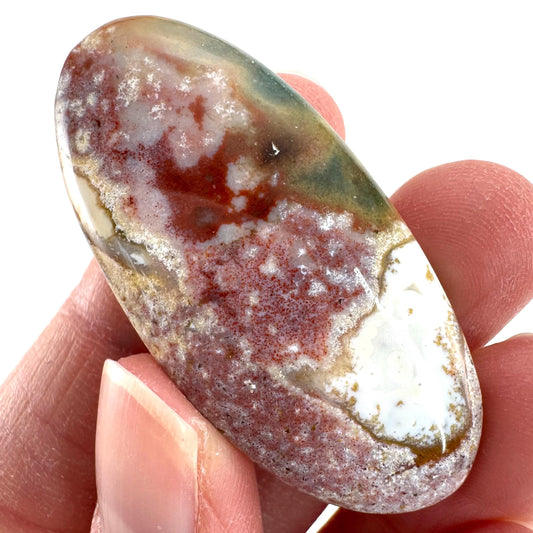 Orbicular Ocean Jasper Cabochon | Natural Gemstone