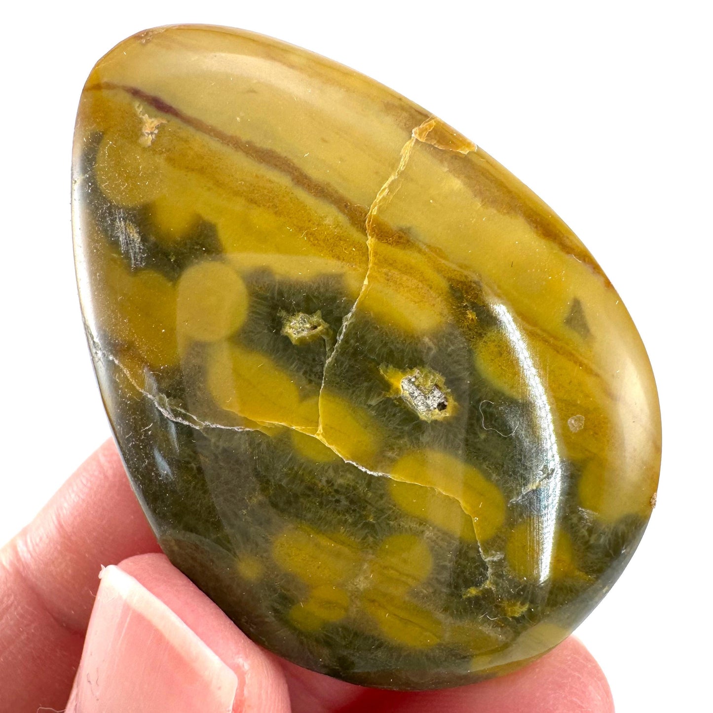 Orbicular Ocean Jasper Cabochon | Natural Gemstone