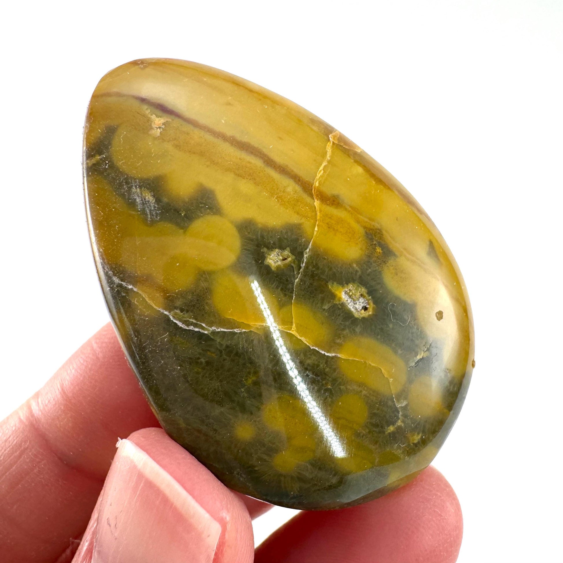 Orbicular Ocean Jasper Cabochon | Natural Gemstone