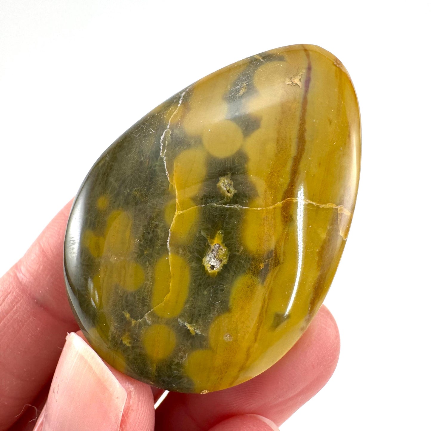 Orbicular Ocean Jasper Cabochon | Natural Gemstone