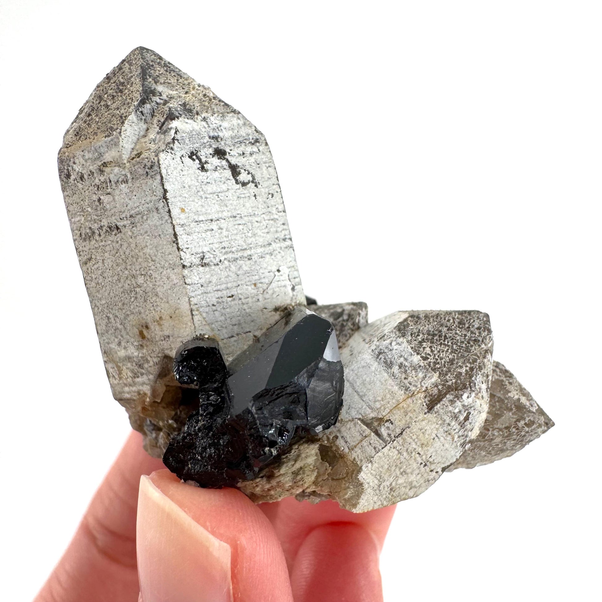 Black Tourmaline on Smoky Quartz | schorl crystal cluster, mineral specimen from Namibia