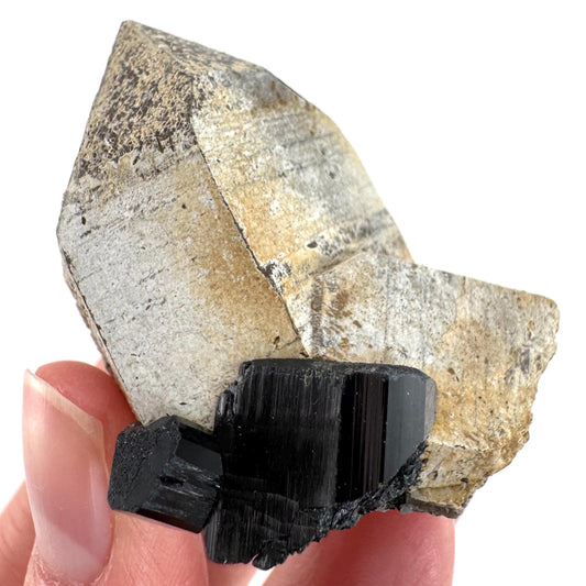 Black Tourmaline on Smoky Quartz | schorl crystal cluster, mineral specimen from Namibia