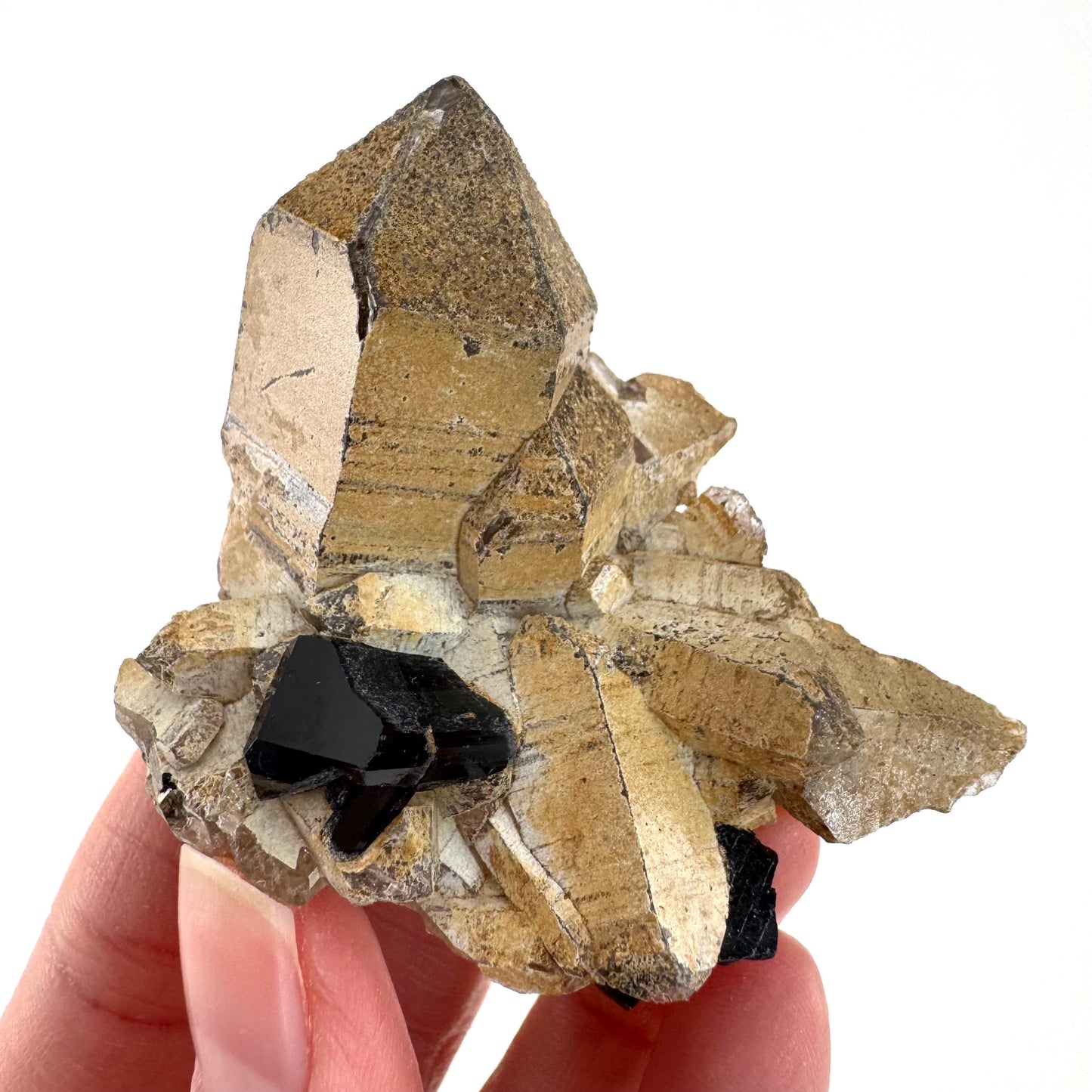 Black Tourmaline on Smoky Quartz | schorl crystal cluster, mineral specimen from Namibia