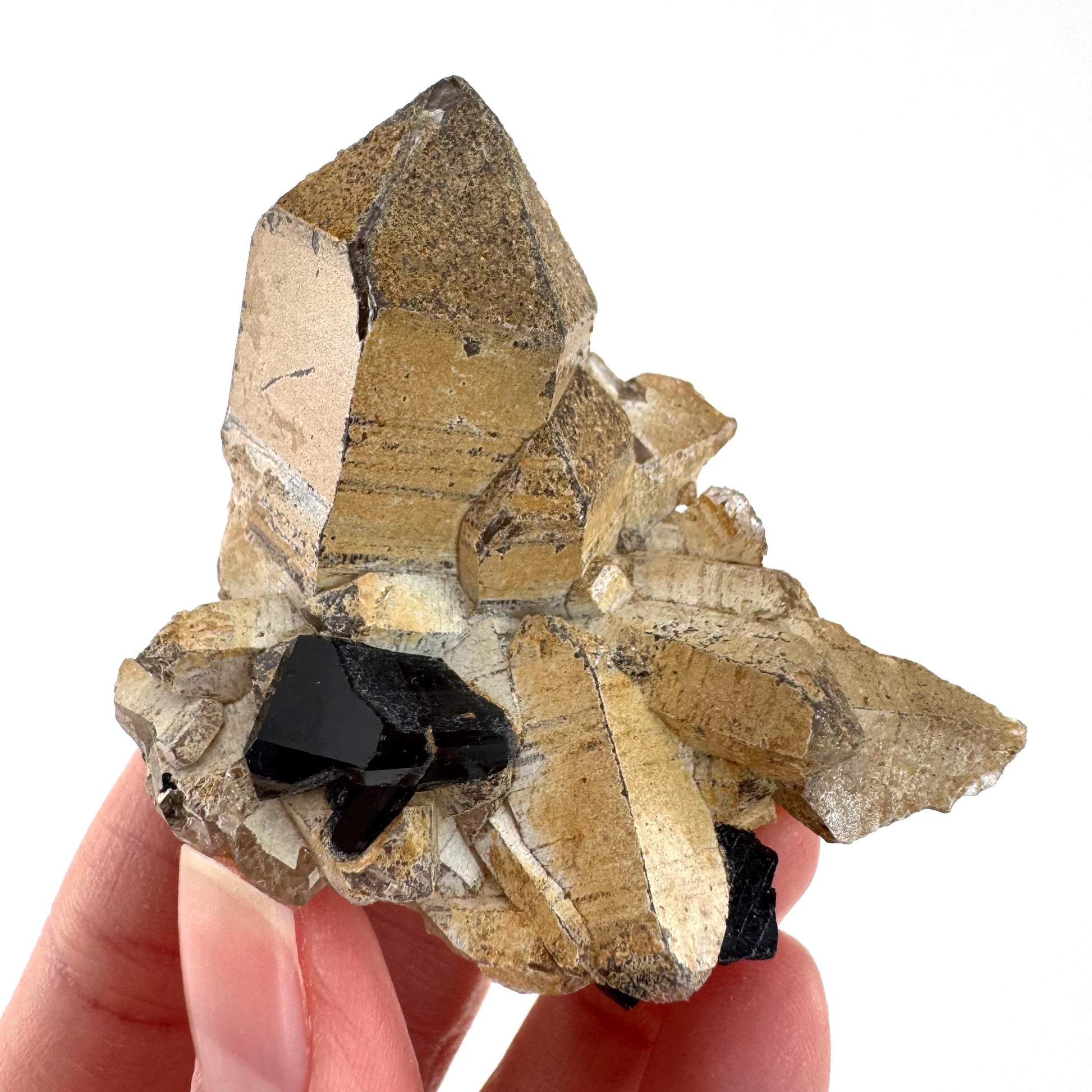 Black Tourmaline on Smoky Quartz | schorl crystal cluster, mineral specimen from Namibia