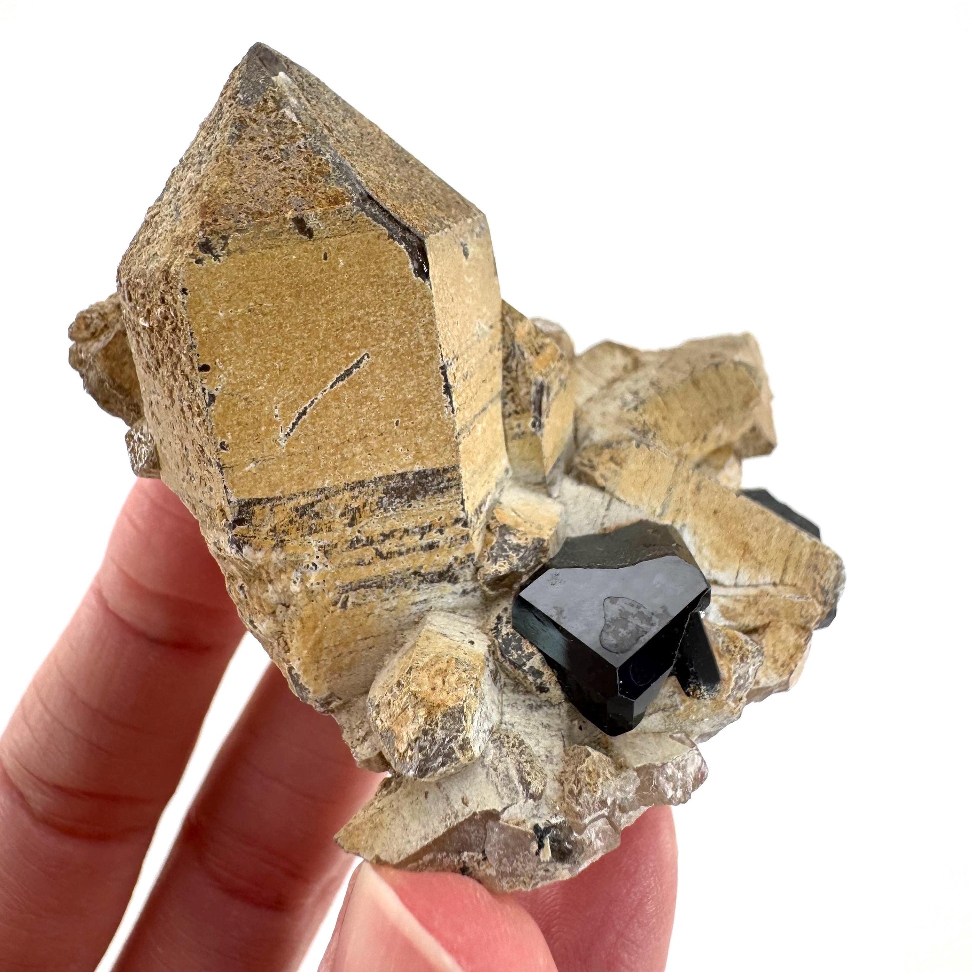 Black Tourmaline on Smoky Quartz | schorl crystal cluster, mineral specimen from Namibia