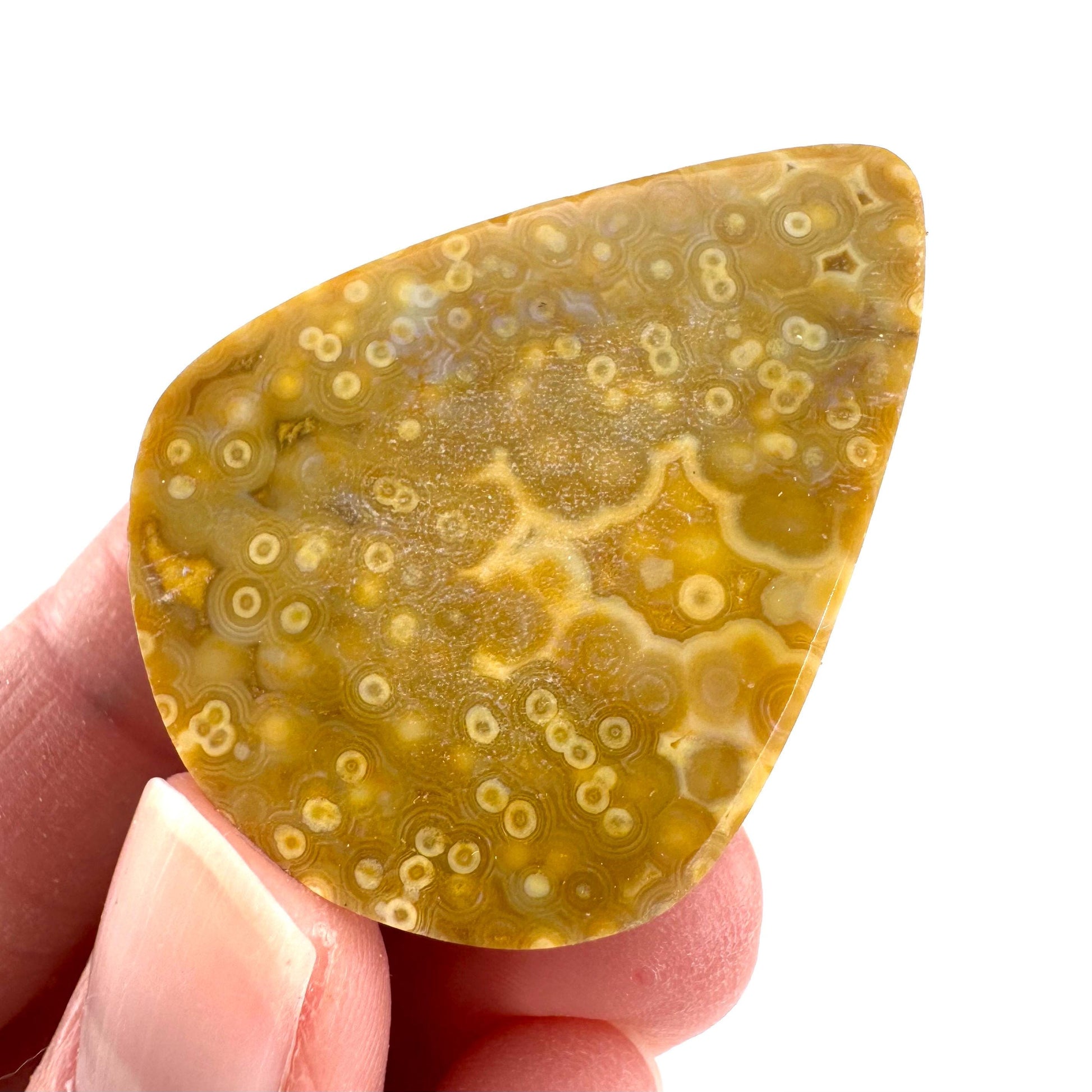 Orbicular Ocean Jasper Cabochon | Natural Gemstone