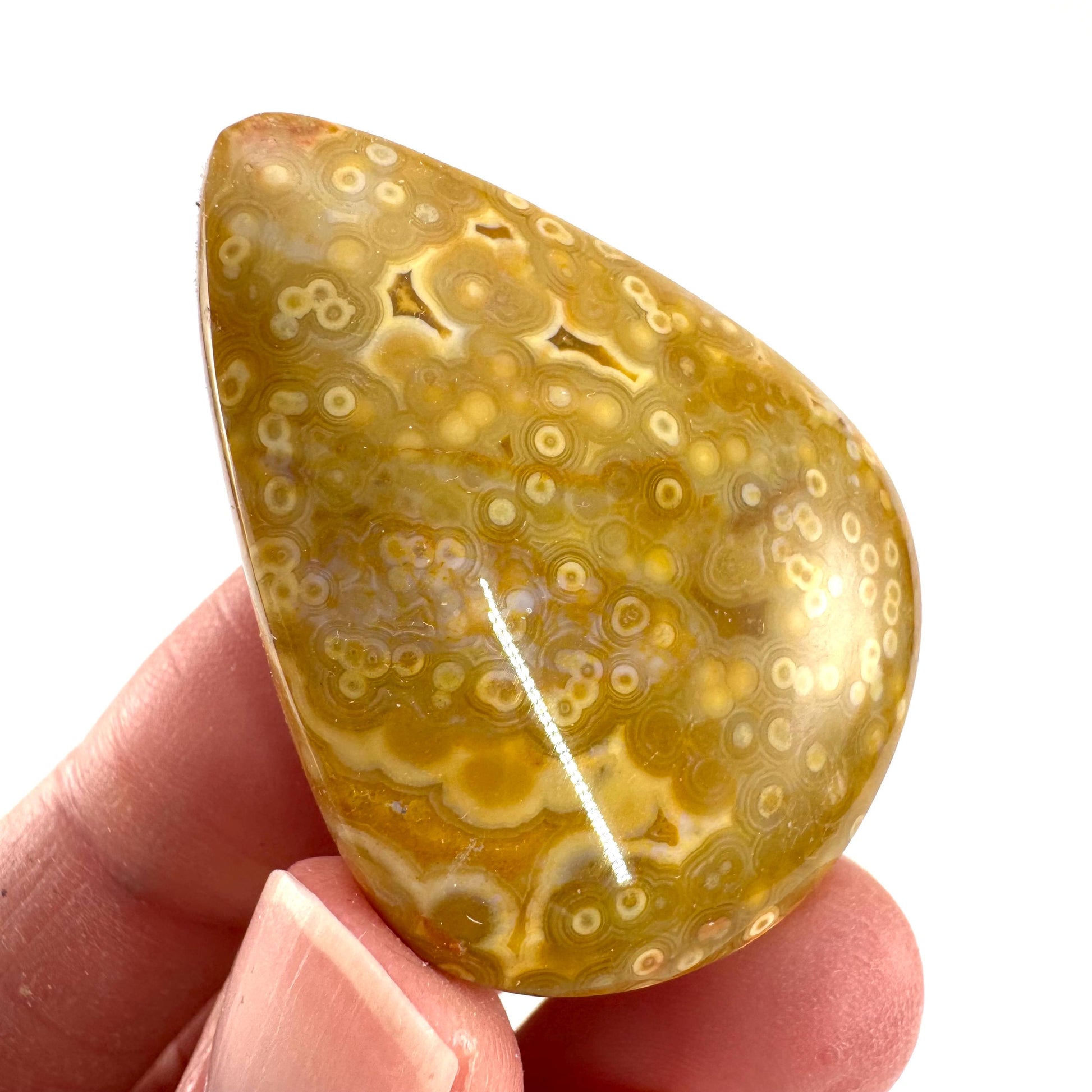 Orbicular Ocean Jasper Cabochon | Natural Gemstone