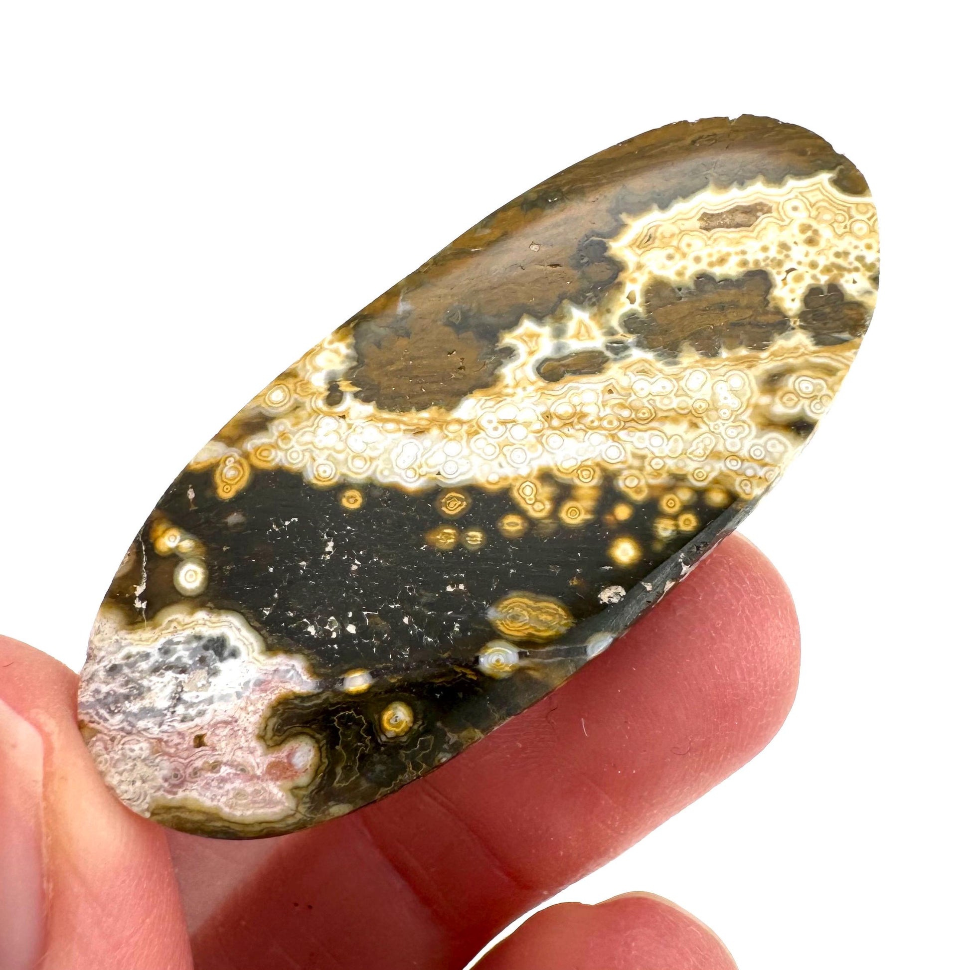 Orbicular Ocean Jasper Cabochon | Natural Gemstone
