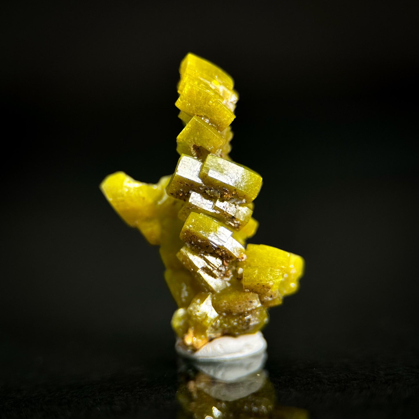 Pyromorphite (Bunker Hill Mine, Idaho) | green pyromorphite crystal, rare mineral specimen