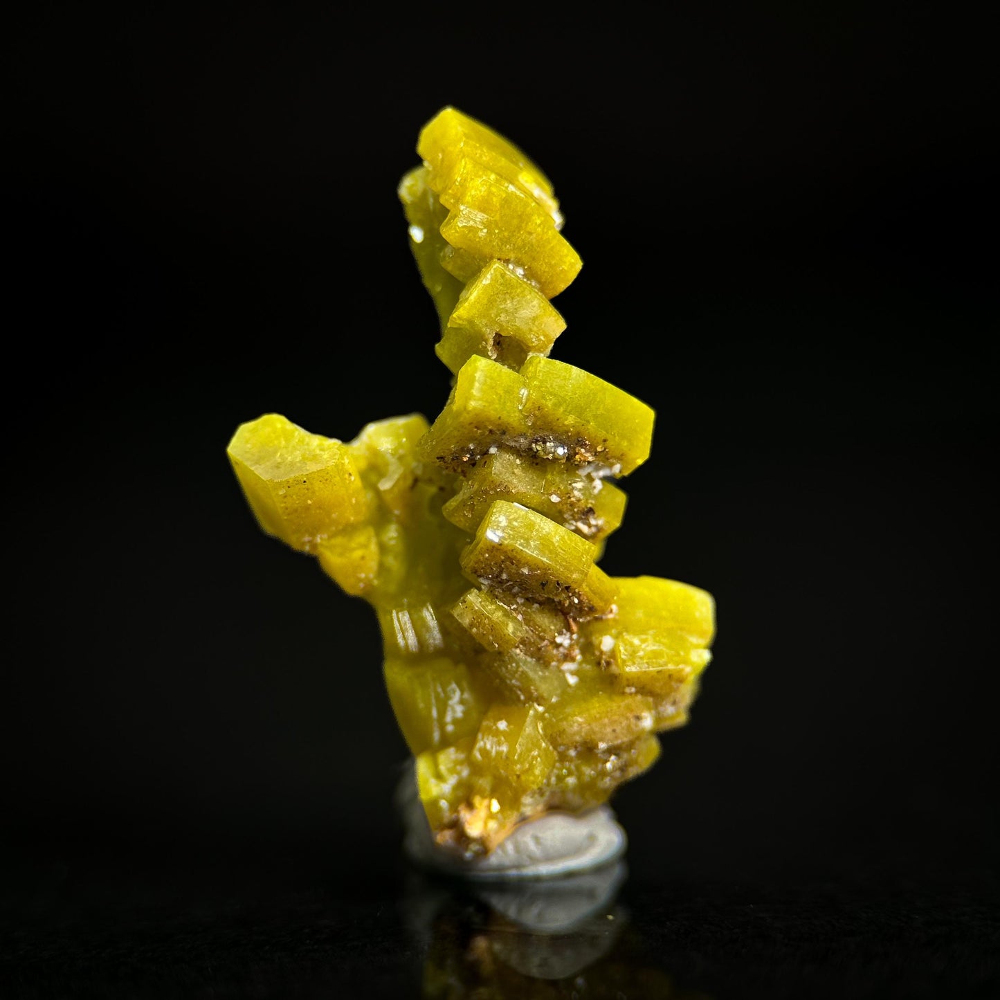 Pyromorphite (Bunker Hill Mine, Idaho) | green pyromorphite crystal, rare mineral specimen