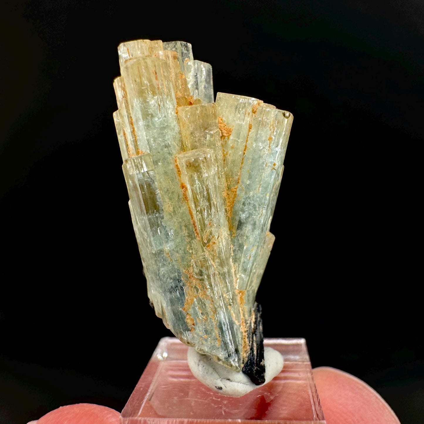 Aquamarine Crystal w/ Schorl | natural blue beryl, mineral specimen from Namibia