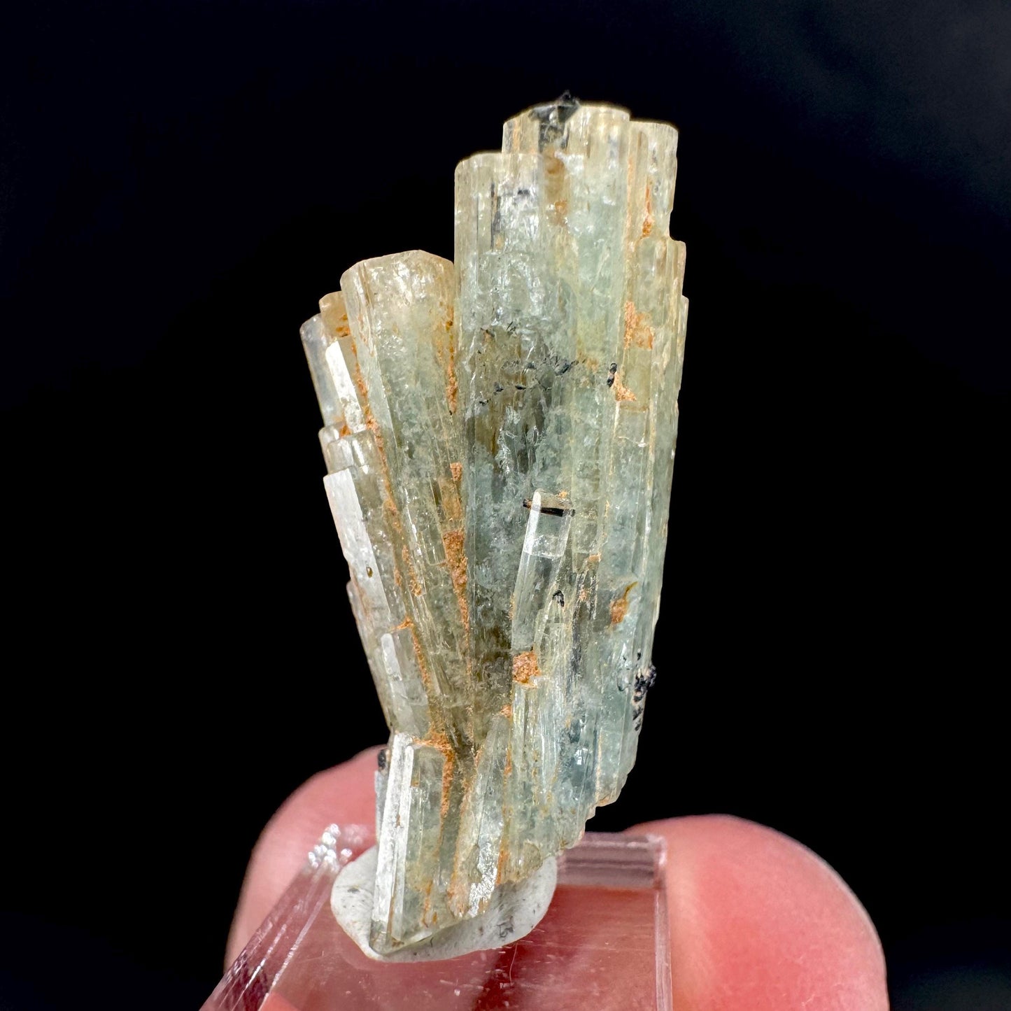 Aquamarine Crystal w/ Schorl | natural blue beryl, mineral specimen from Namibia