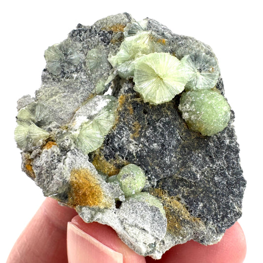 Wavellite (Arkansas, USA) | green crystal cluster, mineral specimen
