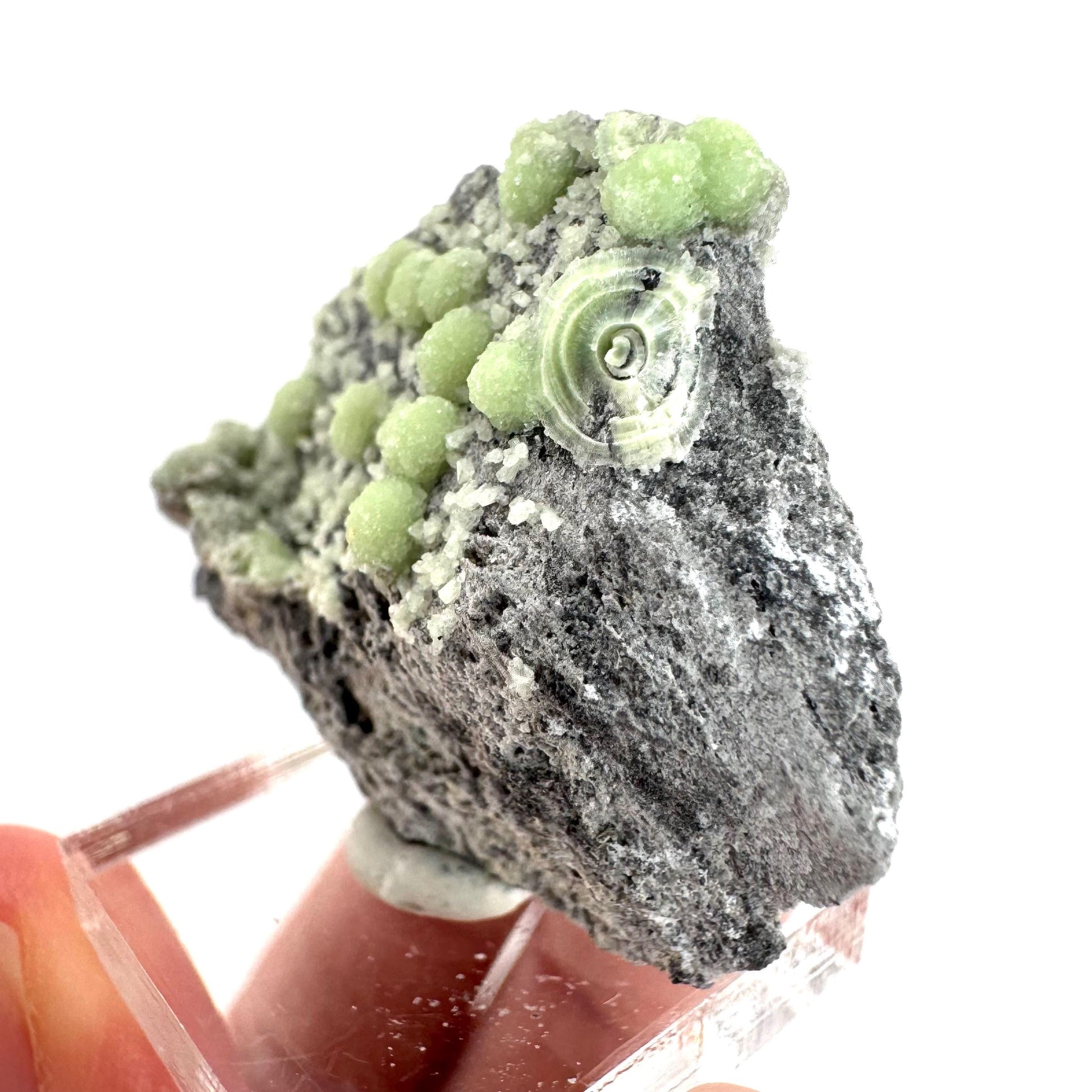 Wavellite (Arkansas, USA) | green crystal cluster, mineral specimen