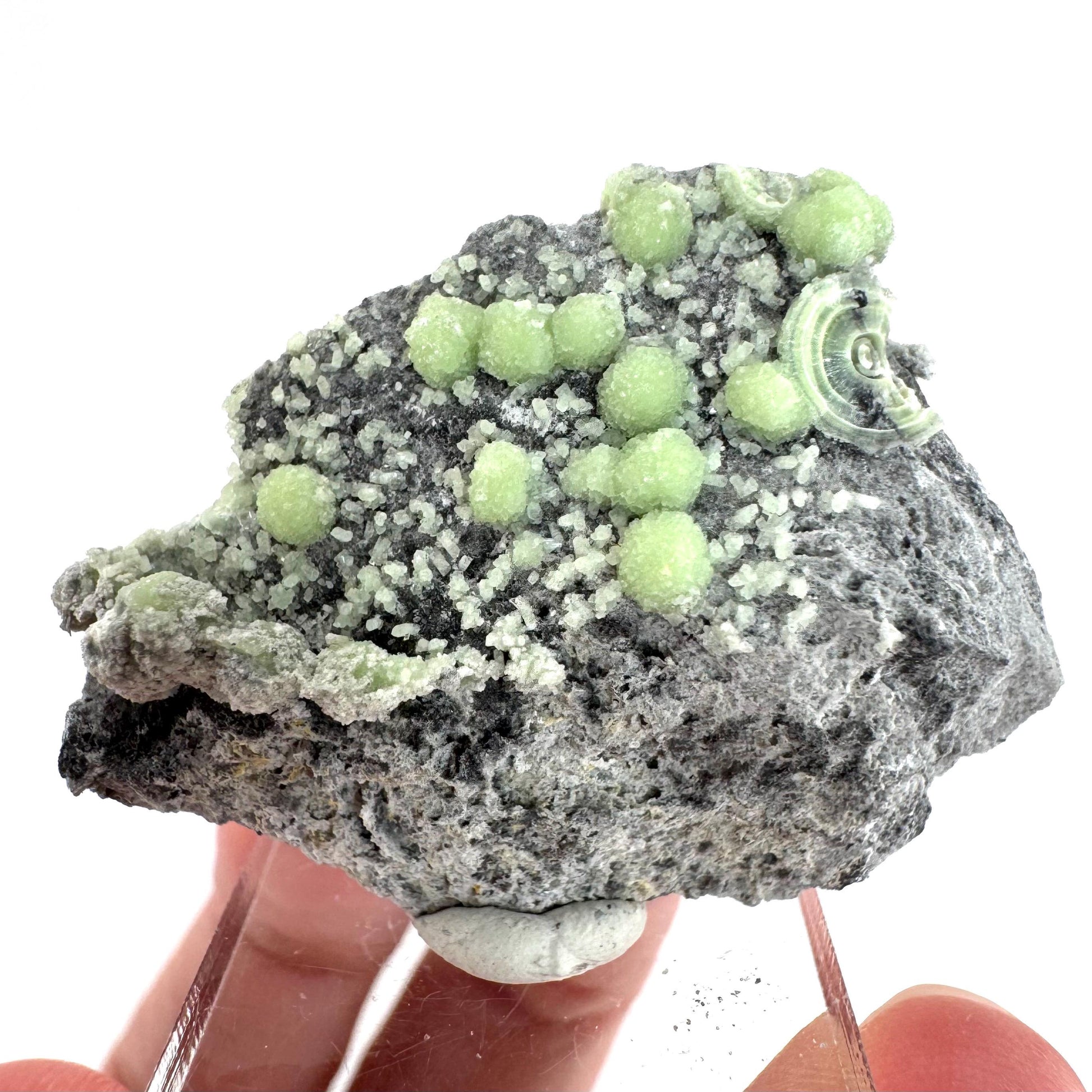 Wavellite (Arkansas, USA) | green crystal cluster, mineral specimen