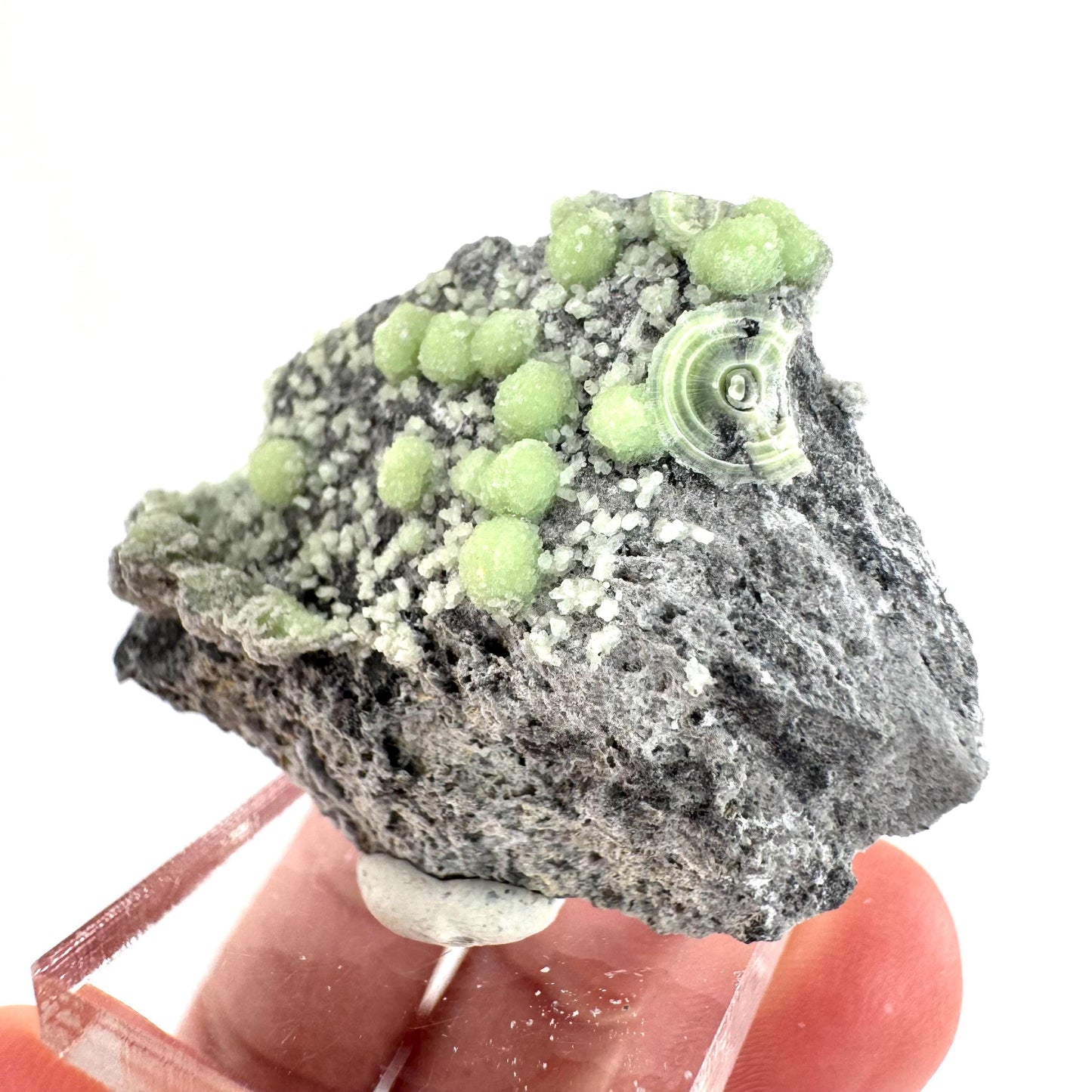 Wavellite (Arkansas, USA) | green crystal cluster, mineral specimen