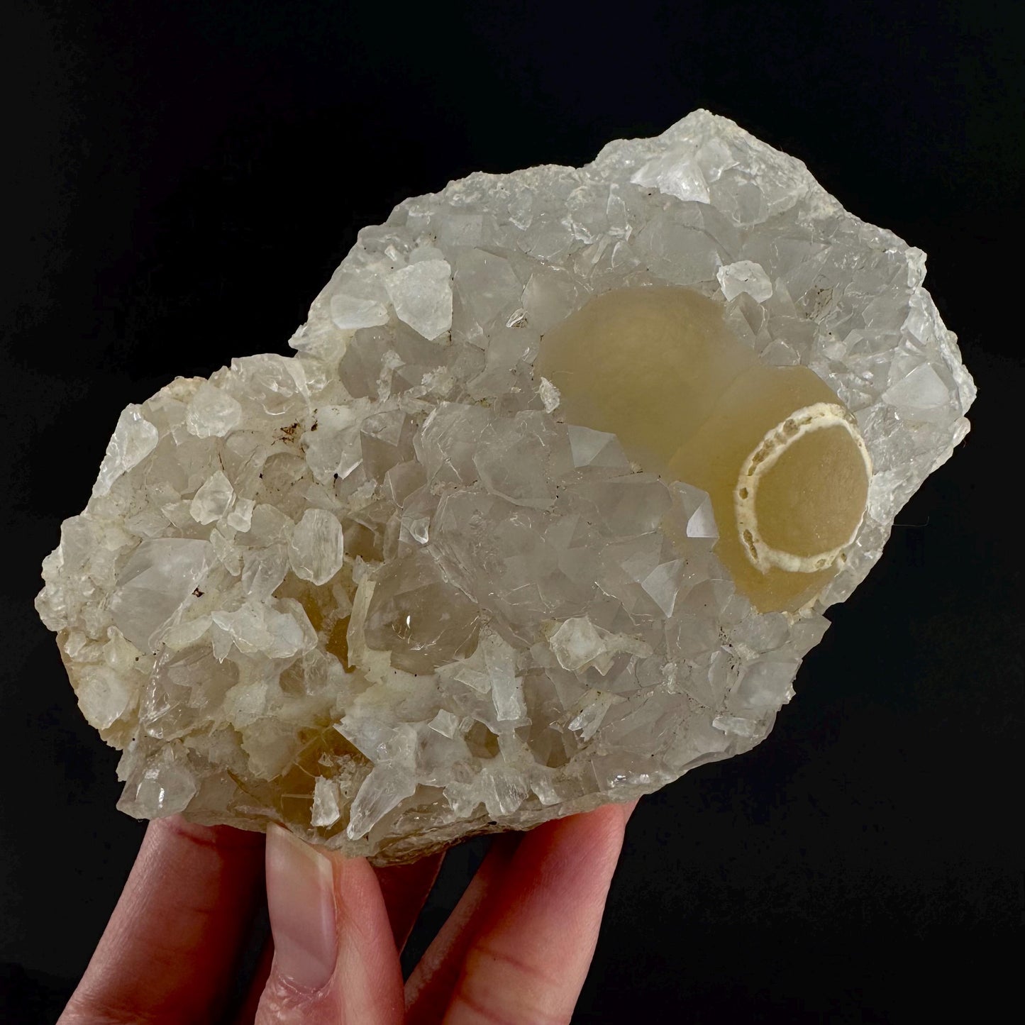 Botryoidal Fluorite on Quartz | yellow fried egg crystal, mineral specimen