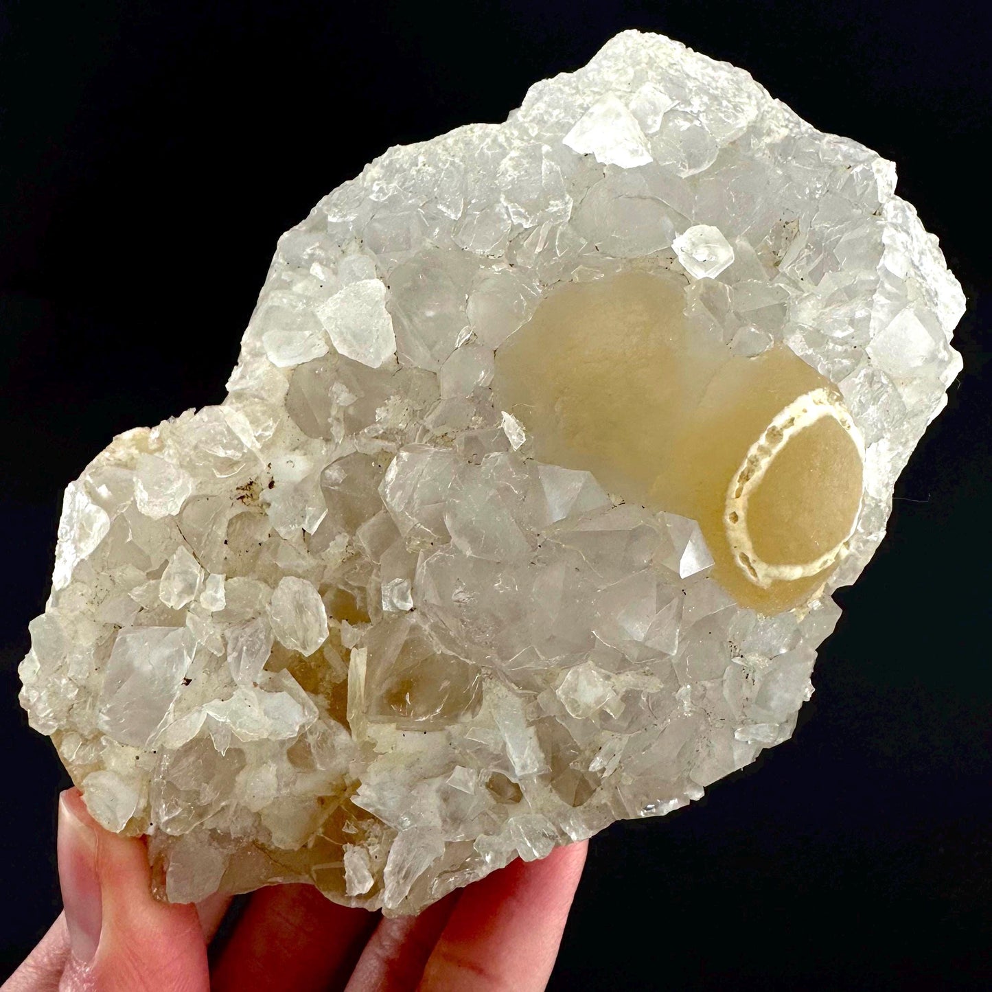 Botryoidal Fluorite on Quartz | yellow fried egg crystal, mineral specimen