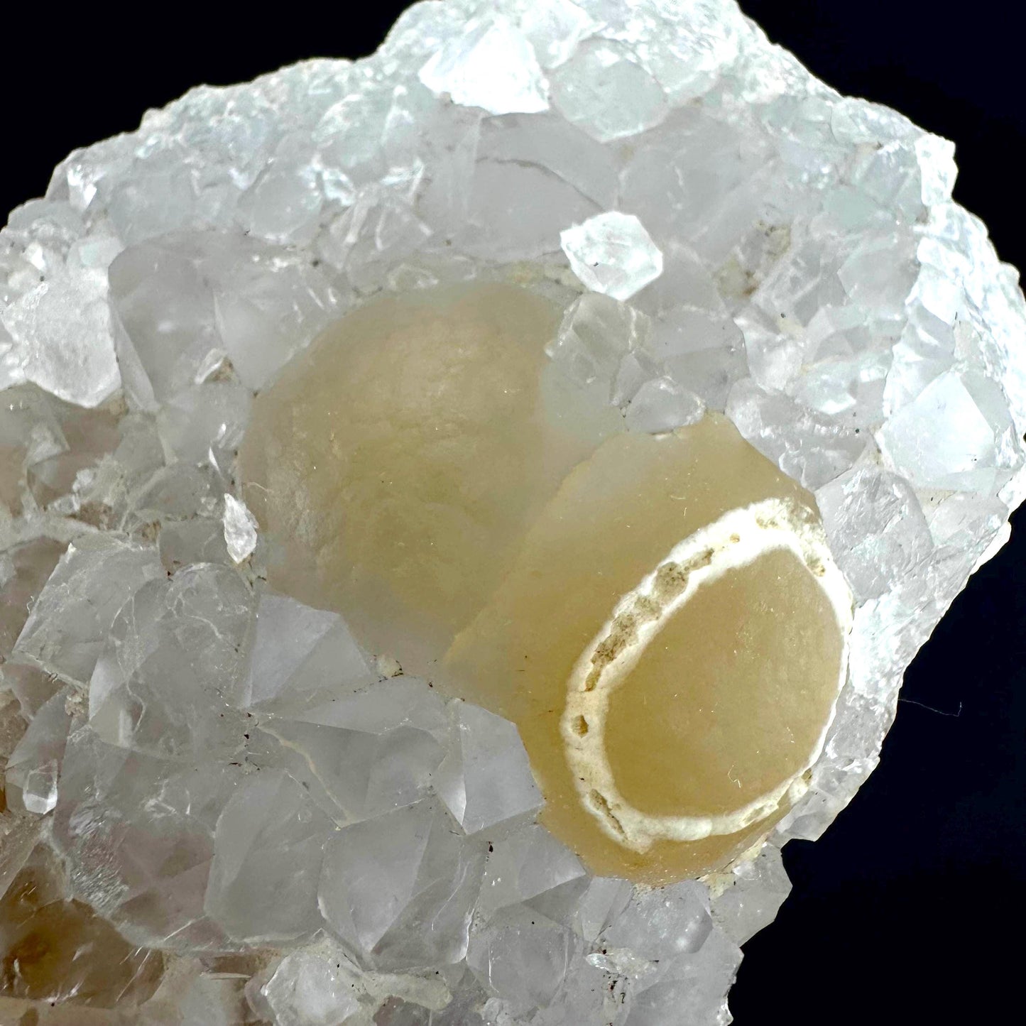 Botryoidal Fluorite on Quartz | yellow fried egg crystal, mineral specimen