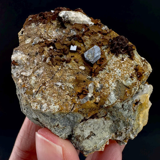Anatase on Matrix | Metallic Crystal, Rare Mineral Specimen
