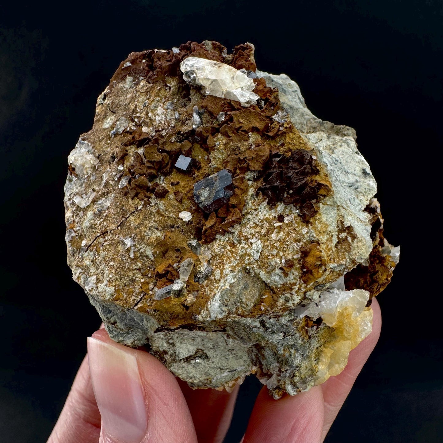 Anatase on Matrix | Metallic Crystal, Rare Mineral Specimen
