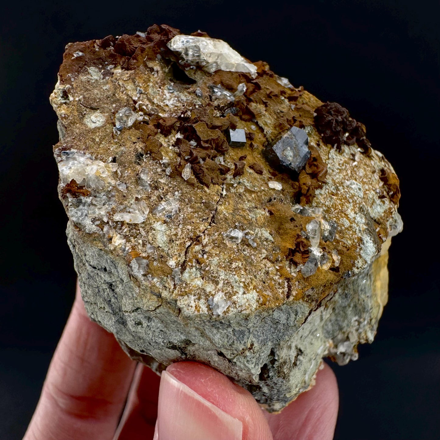 Anatase on Matrix | Metallic Crystal, Rare Mineral Specimen