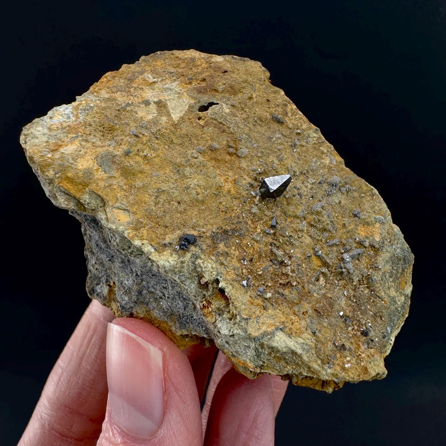 Anatase on Matrix | Metallic Crystal, Rare Mineral Specimen