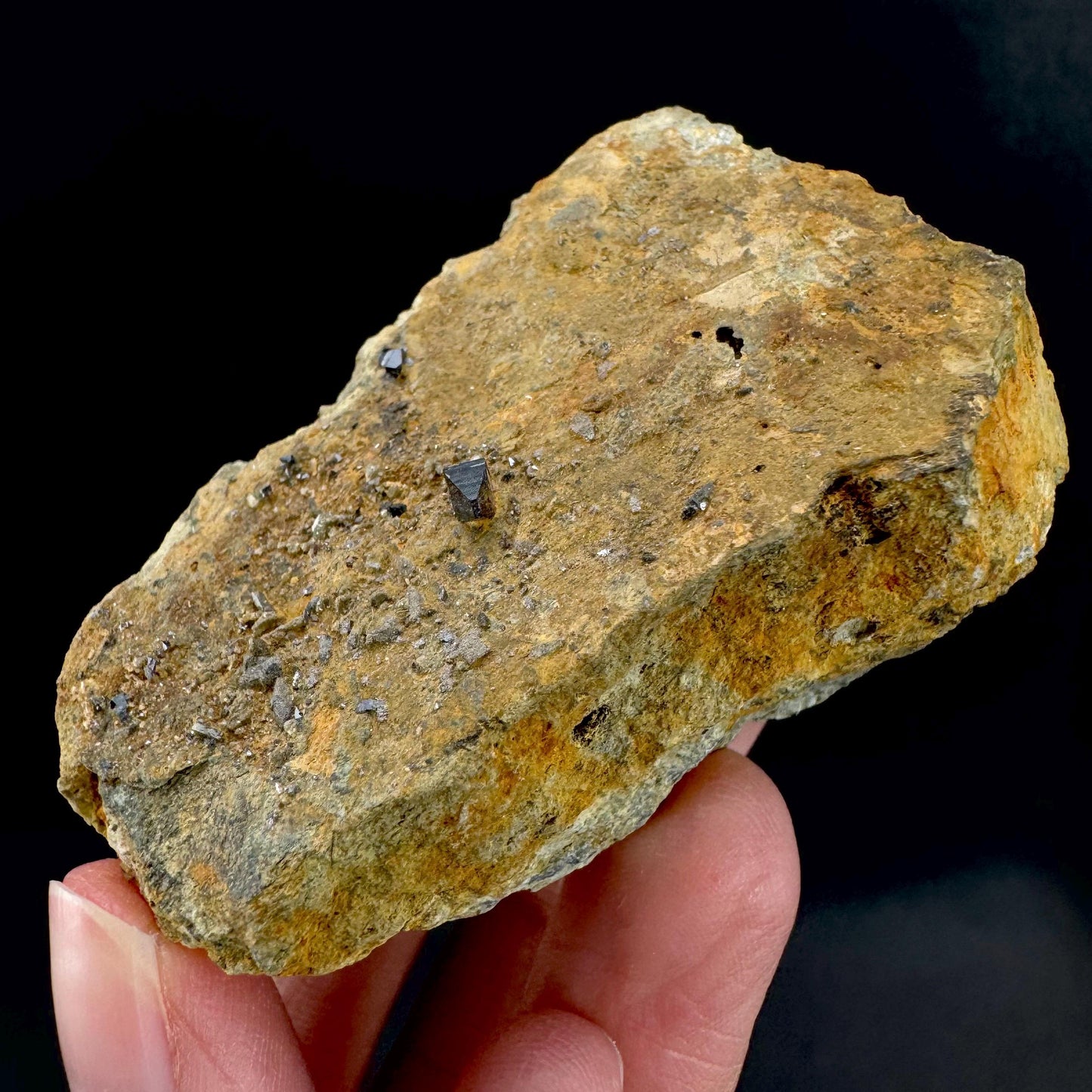 Anatase on Matrix | Metallic Crystal, Rare Mineral Specimen