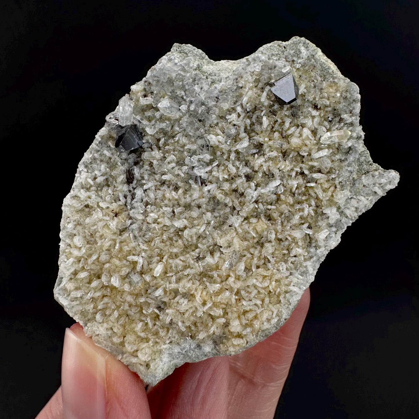 Anatase on Matrix | Metallic Crystal, Rare Mineral Specimen