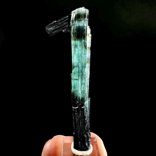 Indicolite Tourmaline Crystal | Natural Blue-Green Mineral Specimen from Pakistan