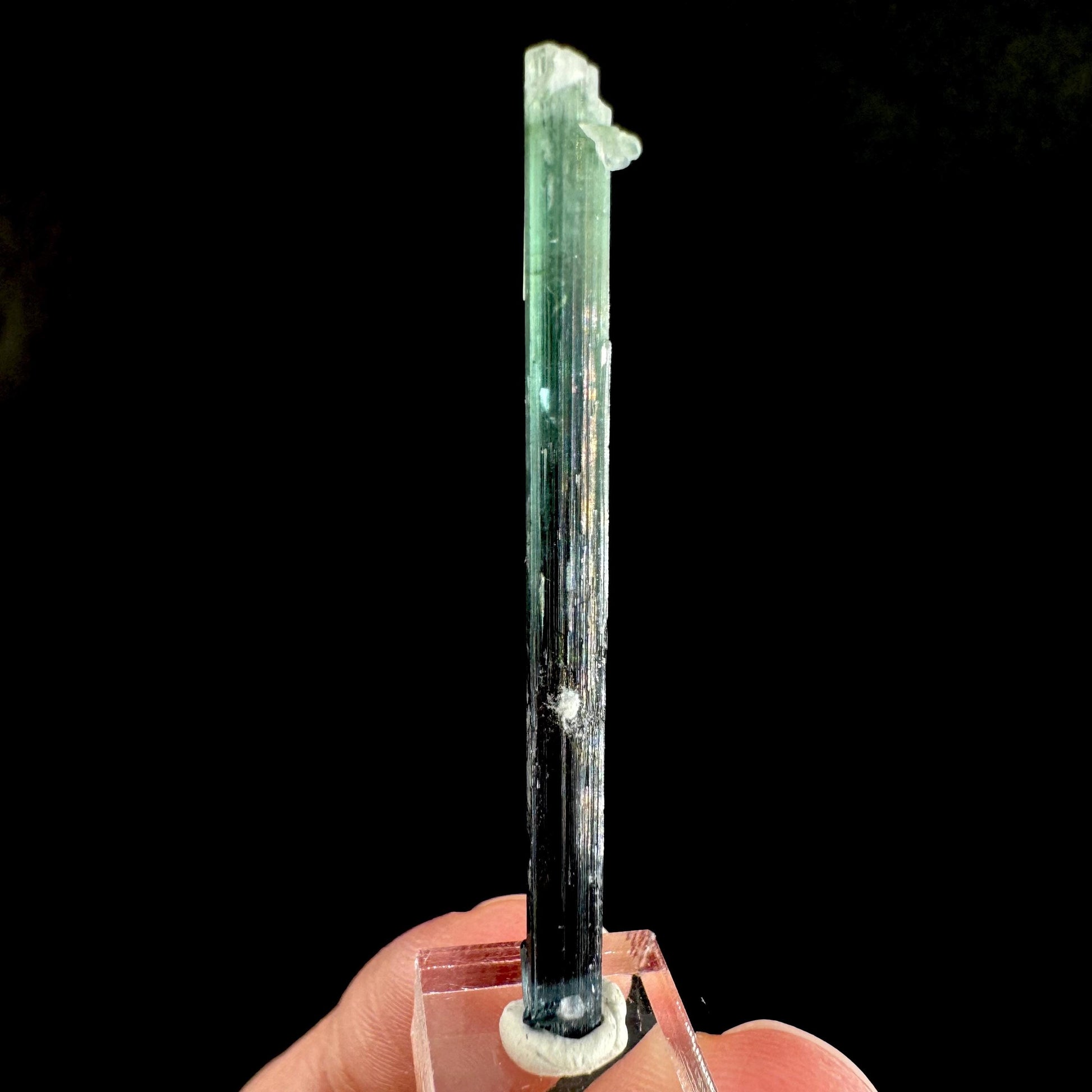 Indicolite Tourmaline Crystal | Natural Blue-Green Mineral Specimen from Pakistan