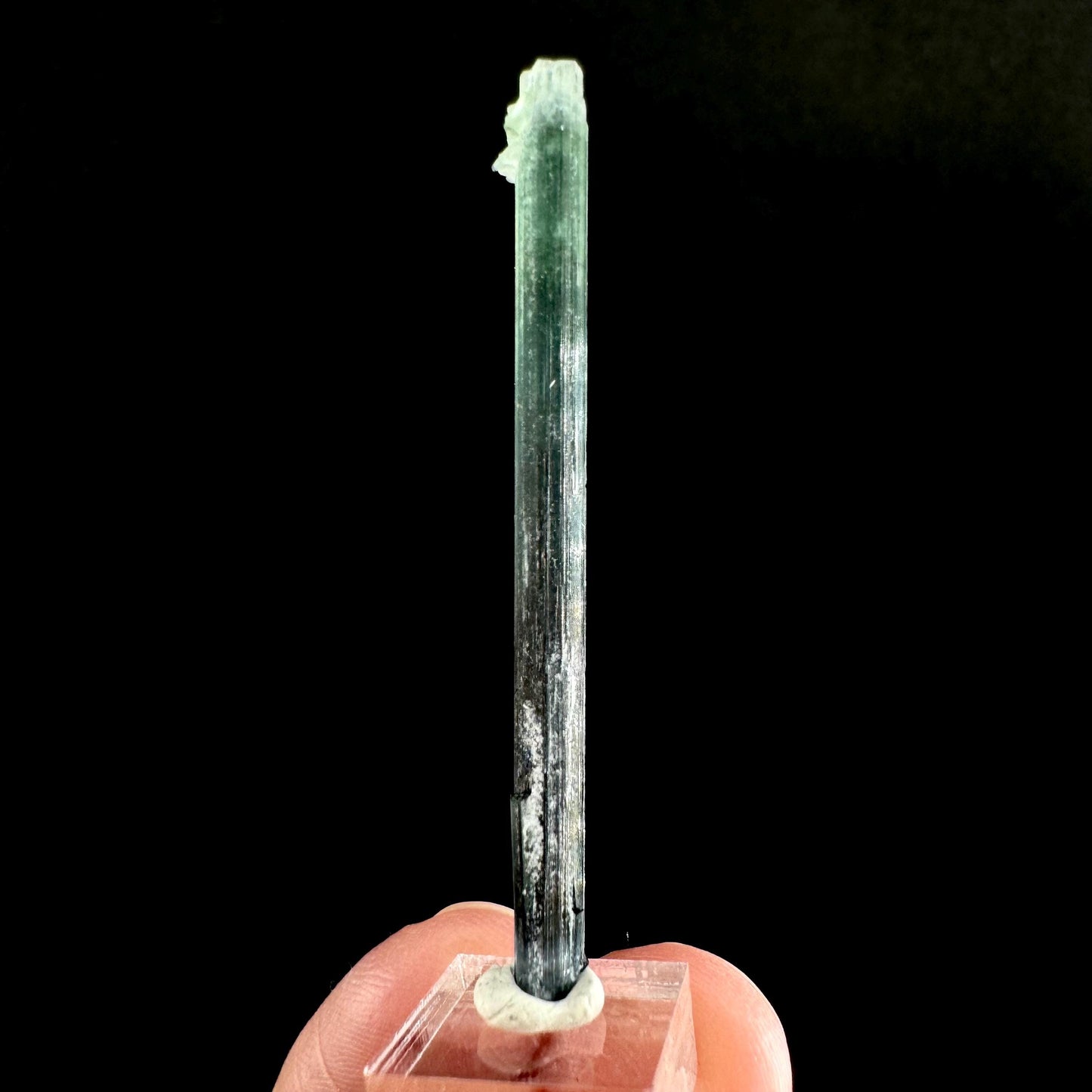 Indicolite Tourmaline Crystal | Natural Blue-Green Mineral Specimen from Pakistan