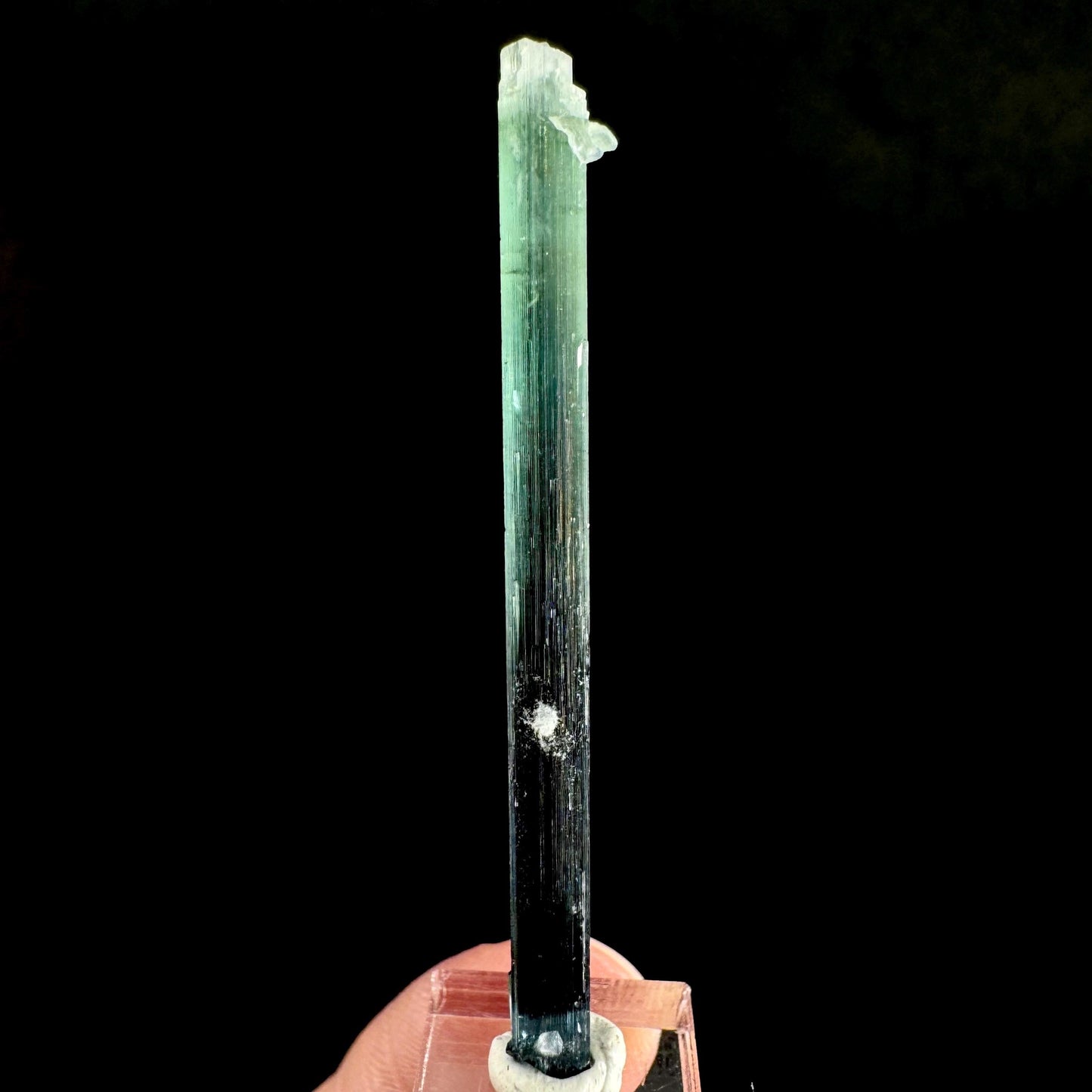 Indicolite Tourmaline Crystal | Natural Blue-Green Mineral Specimen from Pakistan
