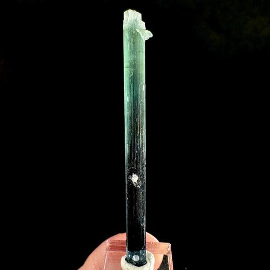 Indicolite Tourmaline Crystal | Natural Blue-Green Mineral Specimen from Pakistan
