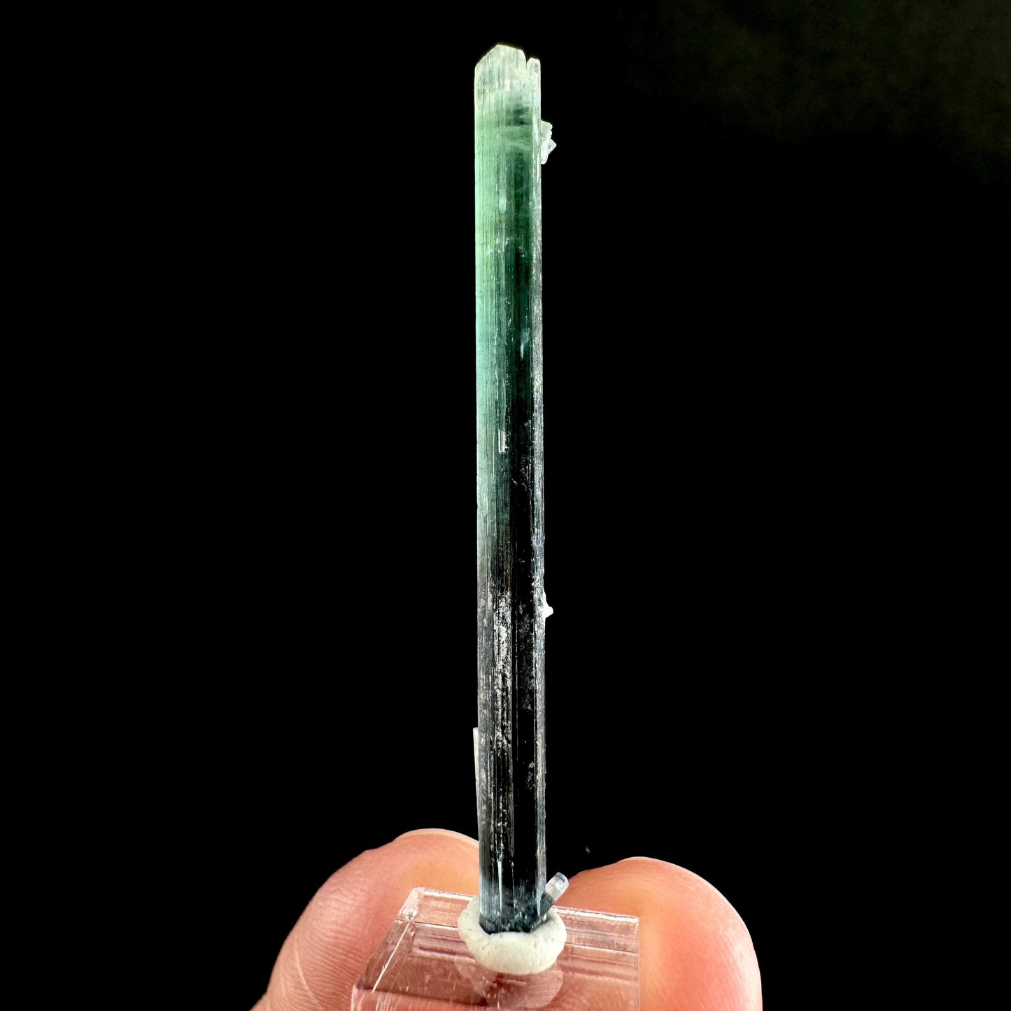 Indicolite Tourmaline Crystal | Natural Blue-Green Mineral Specimen from Pakistan