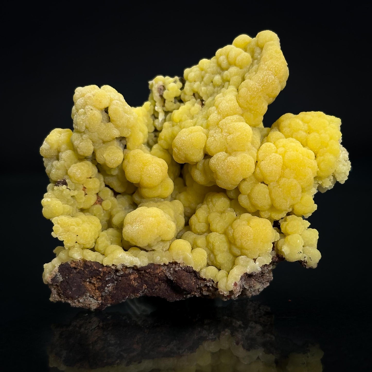 Mimetite | Yellow Crystal, Botryoidal Mineral Specimen from Mexico