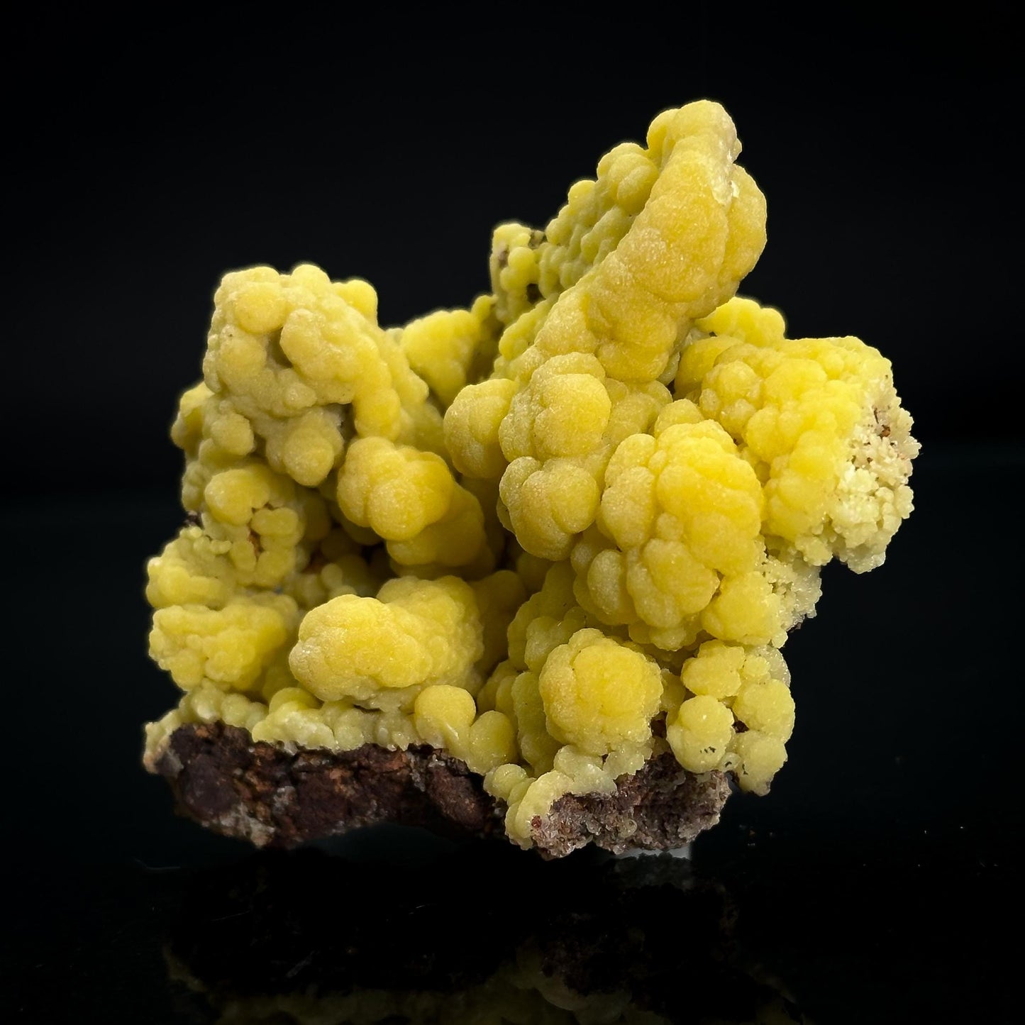 Mimetite | Yellow Crystal, Botryoidal Mineral Specimen from Mexico