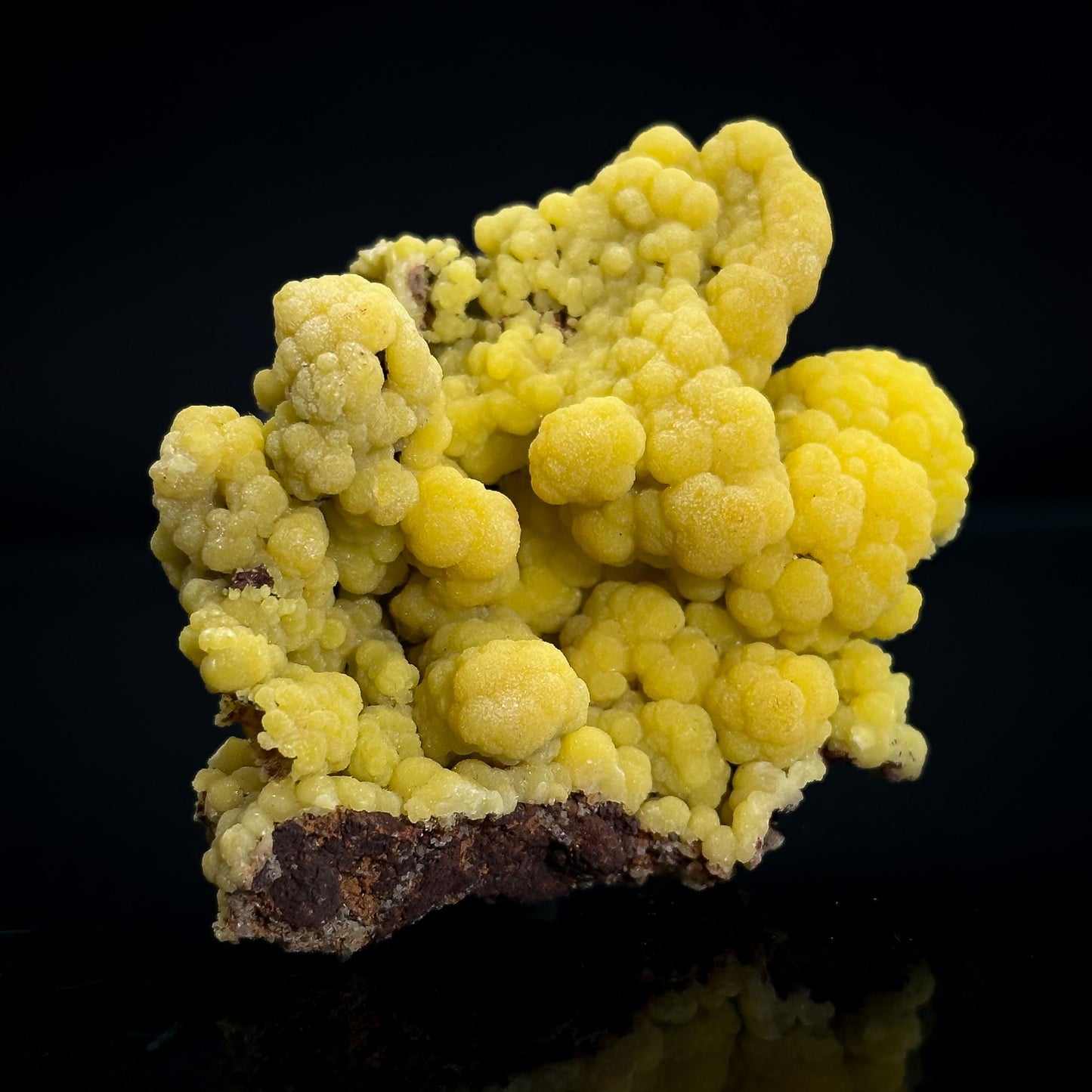 Mimetite | Yellow Crystal, Botryoidal Mineral Specimen from Mexico