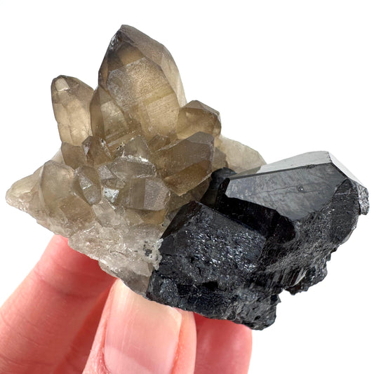 Black Tourmaline on Smoky Quartz | schorl crystal cluster, mineral specimen from Namibia