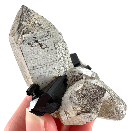 Black Tourmaline on Smoky Quartz | schorl crystal cluster, mineral specimen from Namibia