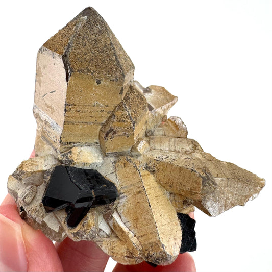 Black Tourmaline on Smoky Quartz | schorl crystal cluster, mineral specimen from Namibia