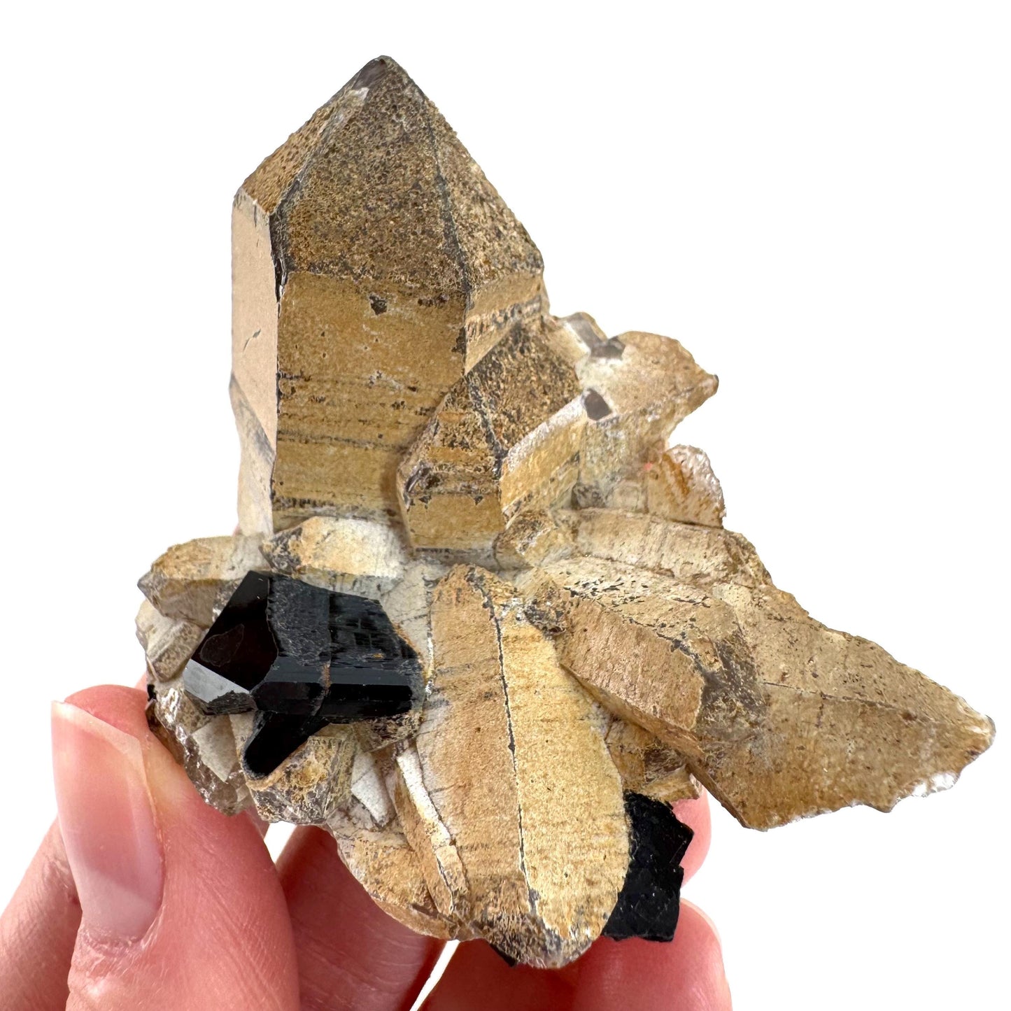 Black Tourmaline on Smoky Quartz | schorl crystal cluster, mineral specimen from Namibia
