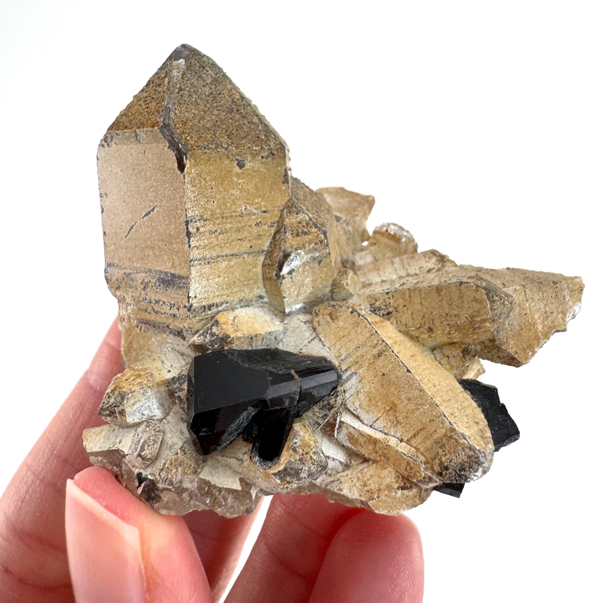 Black Tourmaline on Smoky Quartz | schorl crystal cluster, mineral specimen from Namibia