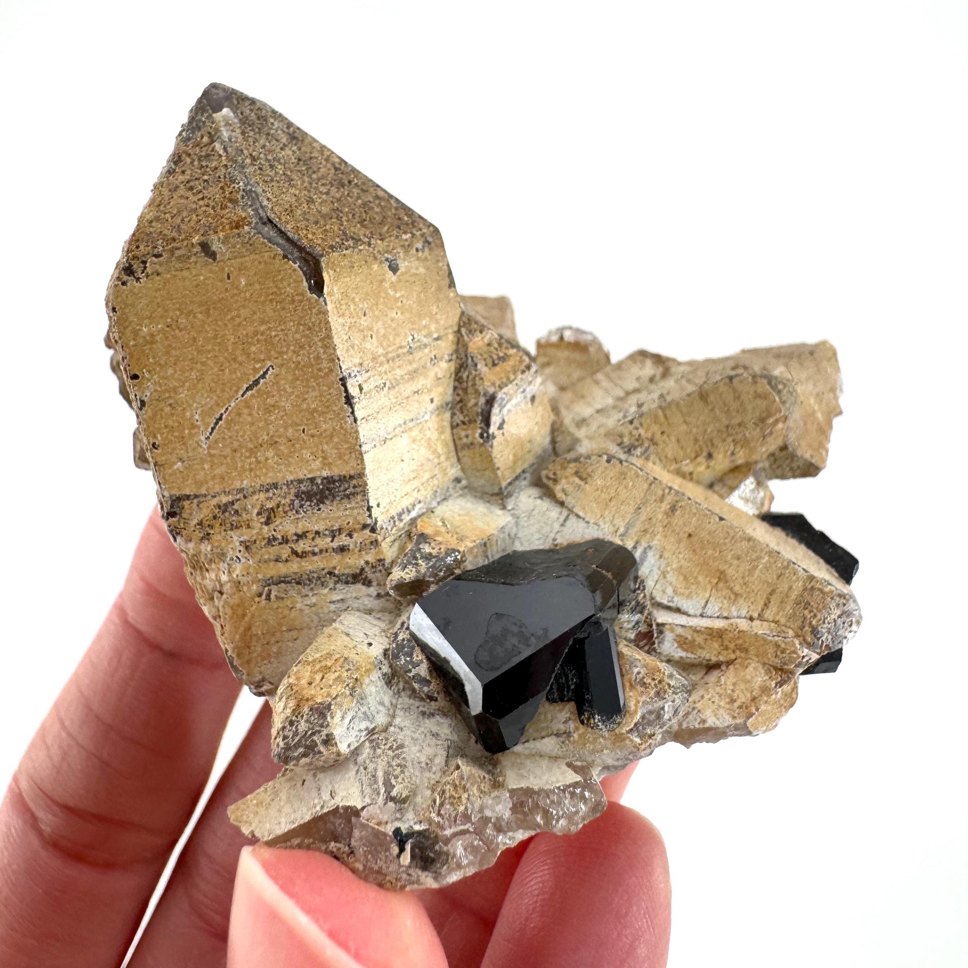 Black Tourmaline on Smoky Quartz | schorl crystal cluster, mineral specimen from Namibia