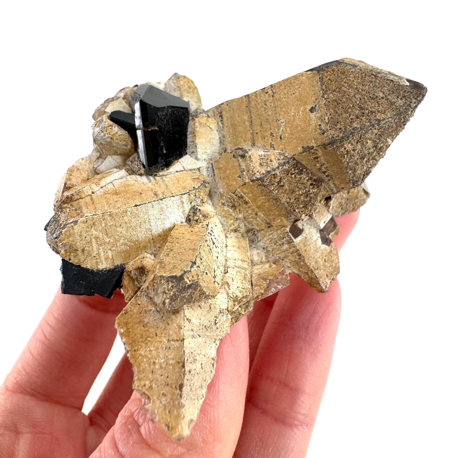 Black Tourmaline on Smoky Quartz | schorl crystal cluster, mineral specimen from Namibia