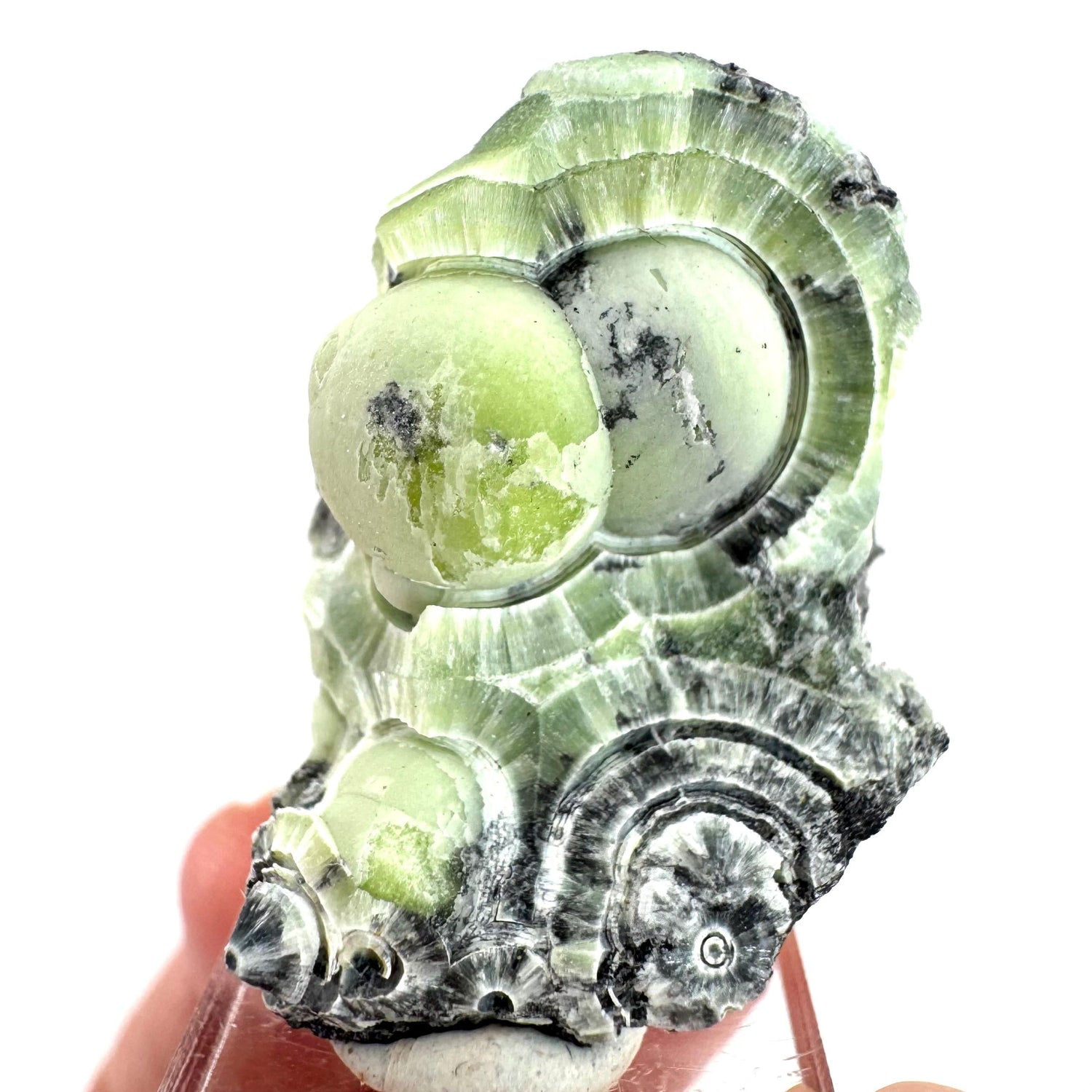 Wavellite (Arkansas, USA) | green crystal cluster, mineral specimen