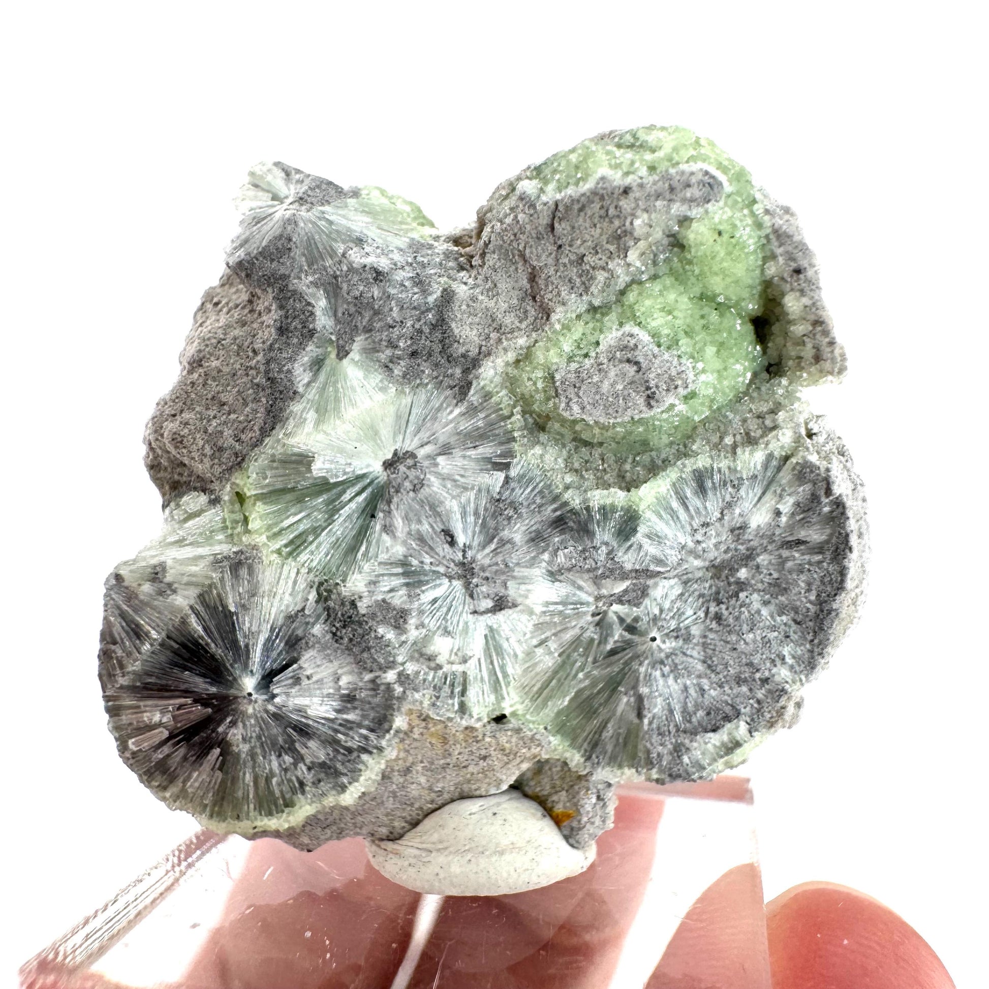Wavellite (Arkansas, USA) | green crystal cluster, mineral specimen